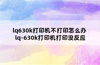 lq630k打印机不打印怎么办 lq-630k打印机打印没反应